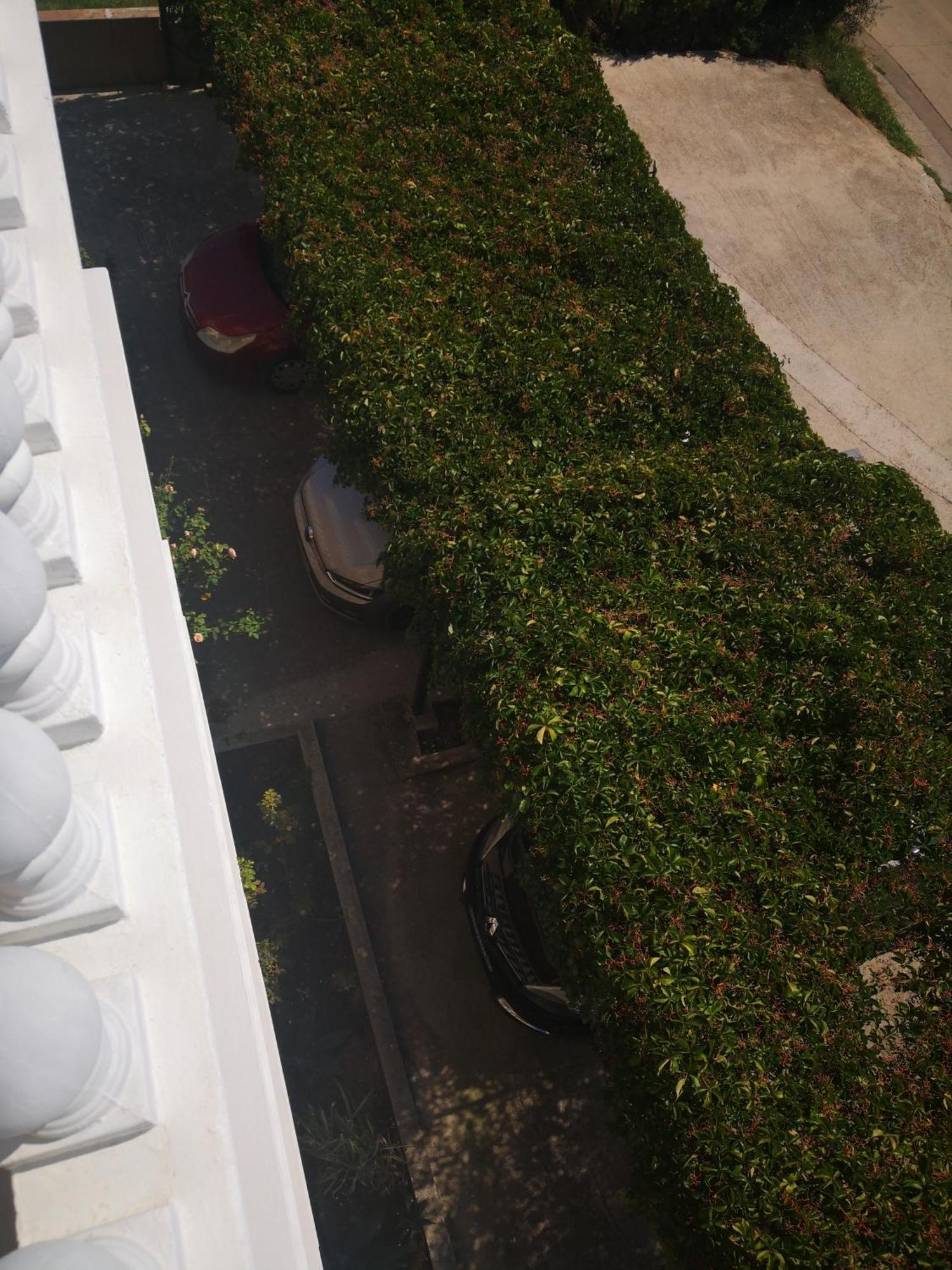 Apartment Plavia Biograd 比奥格勒·纳·莫鲁 外观 照片