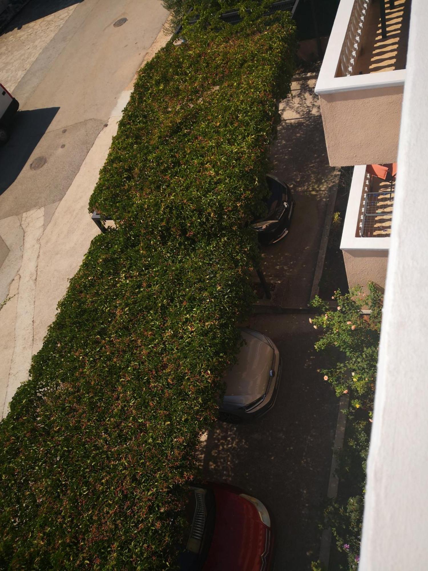 Apartment Plavia Biograd 比奥格勒·纳·莫鲁 外观 照片